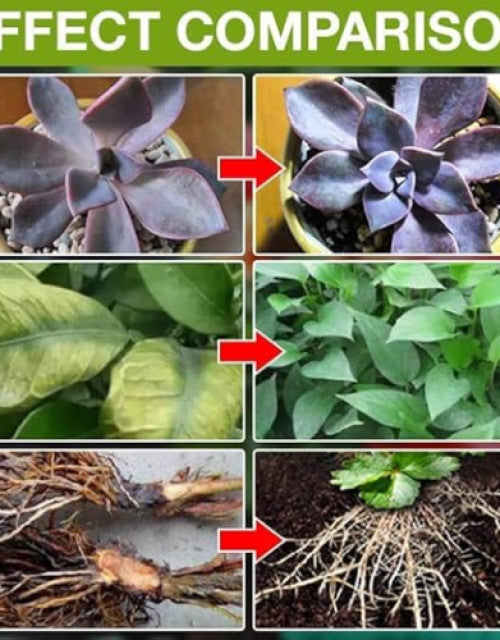 Plant growth supplement pack effect comparison showing improved plant health and root development